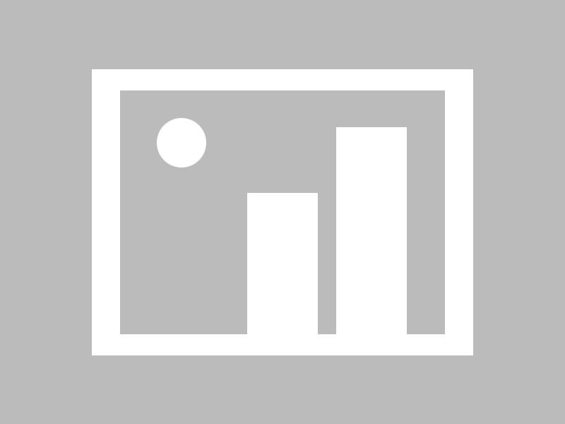 爱游戏平台-开拓者队新秀表现惊艳，开拓者队阵容名单最新