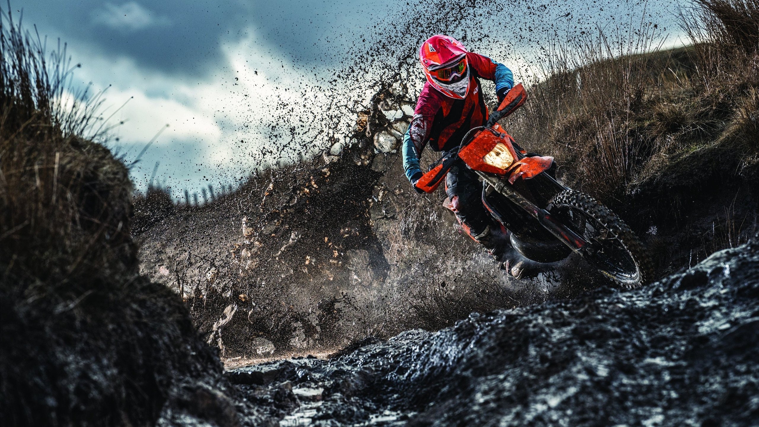 “冰雪奇缘:北极圈极寒赛段的激烈战斗”,冰雪奇缘和北极狐